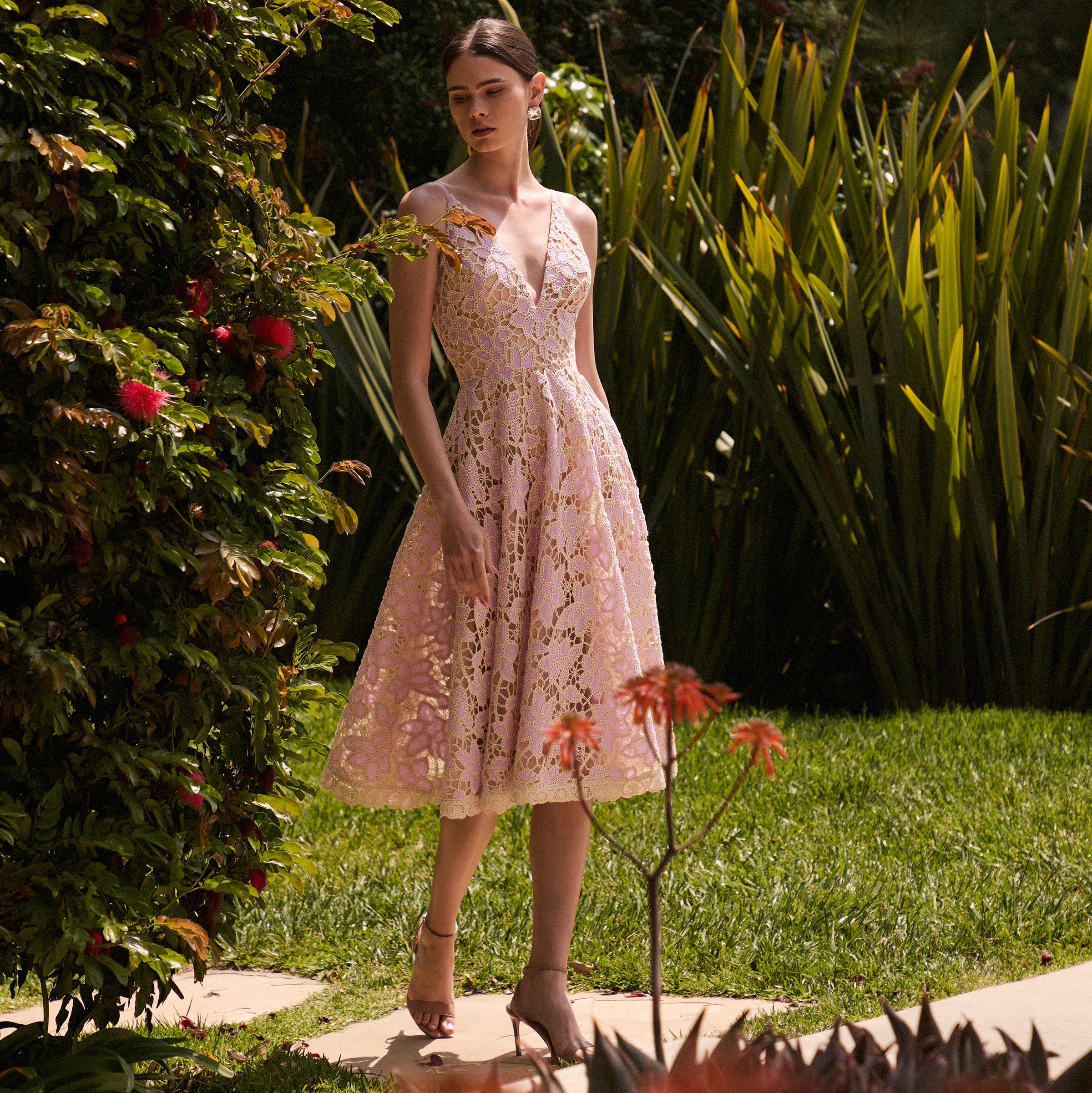 AMELIA - Image 4