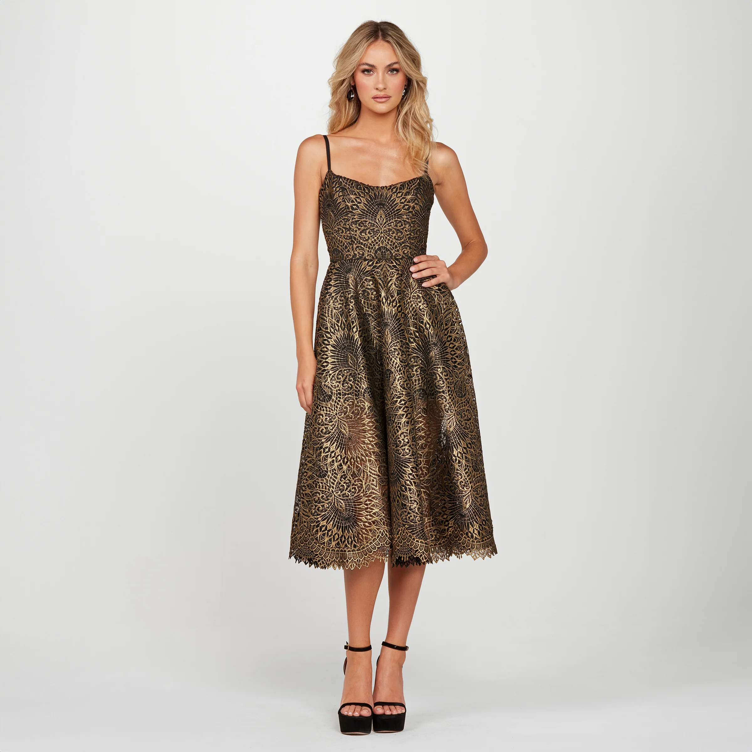 TAYLOR - Image 2